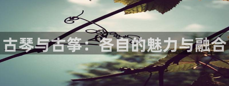 凯发官网|认准kpm:古琴与古筝:各自的魅力与融合