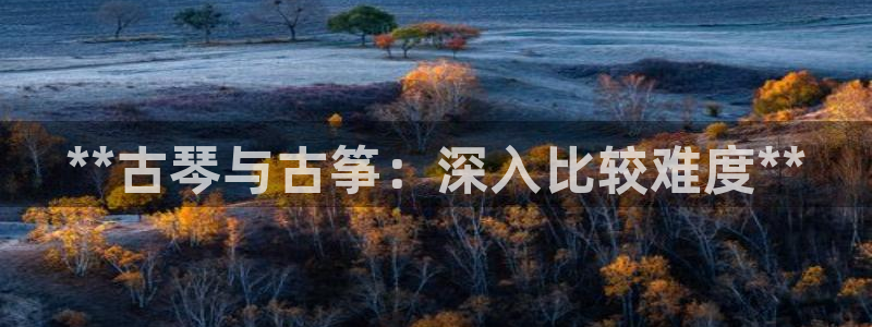 凯发k8官方:**古琴与古筝:深入比较难度**