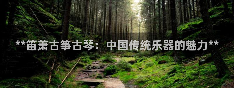 凯发网站是多少:**笛萧古筝古琴:中国传统乐器的魅力**